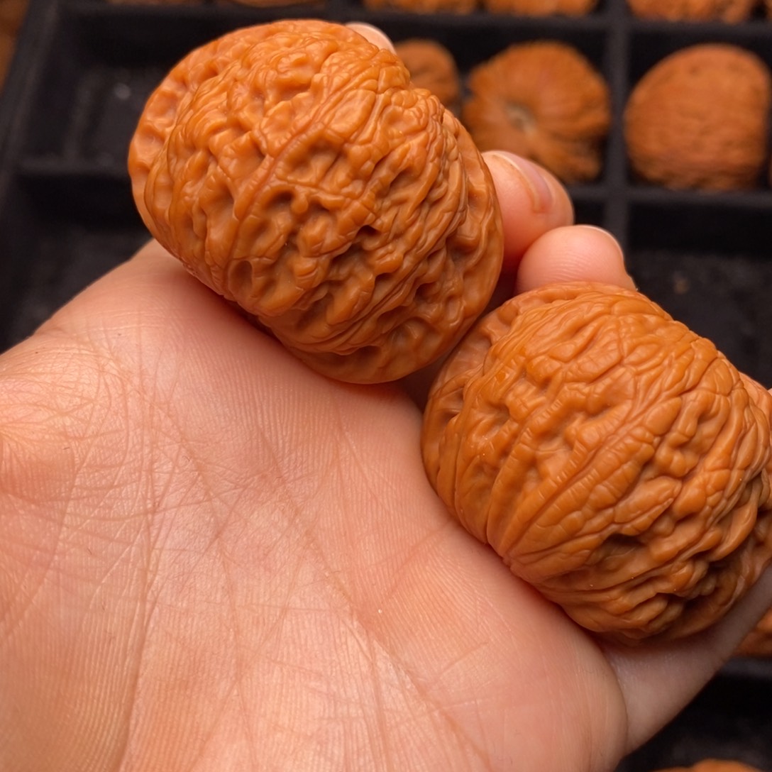 文玩核桃把件秦岭野生核桃