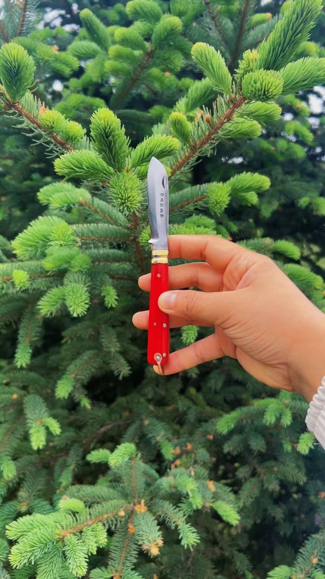 红岭木折叠小刀，水果刀