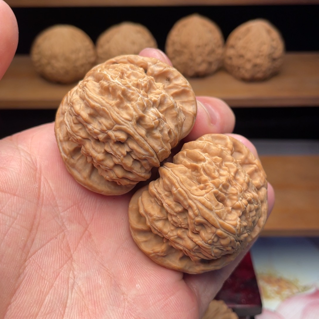 文玩核桃把件45毕业老树白狮子