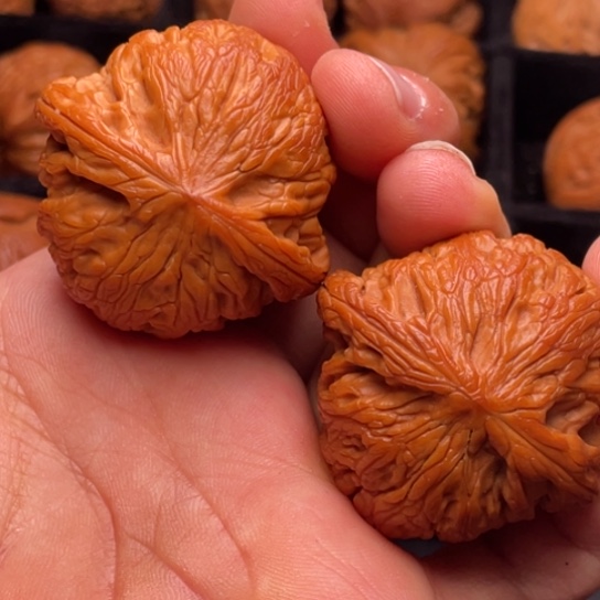 文玩核桃把件秦岭山脉核桃