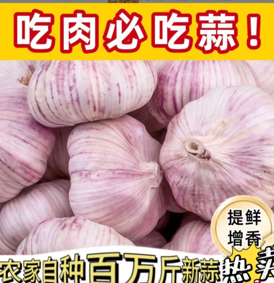 新农家自种紫白皮干蒜大蒜新鲜现挖香辣饱满可吃可种