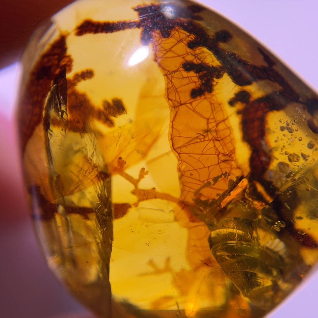 琥珀裸石未镶嵌？