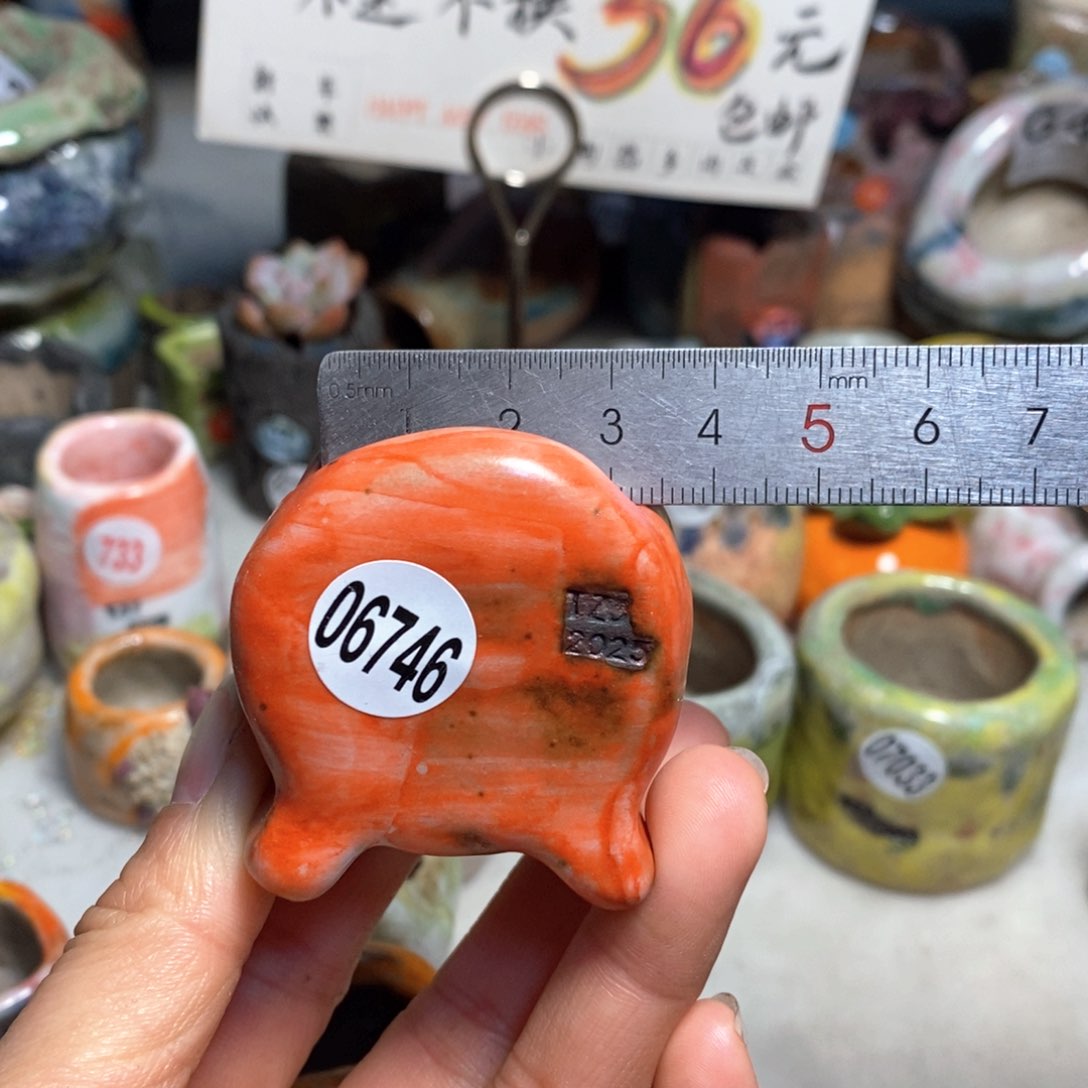 拍3送一个小礼物元旦快乐花盆