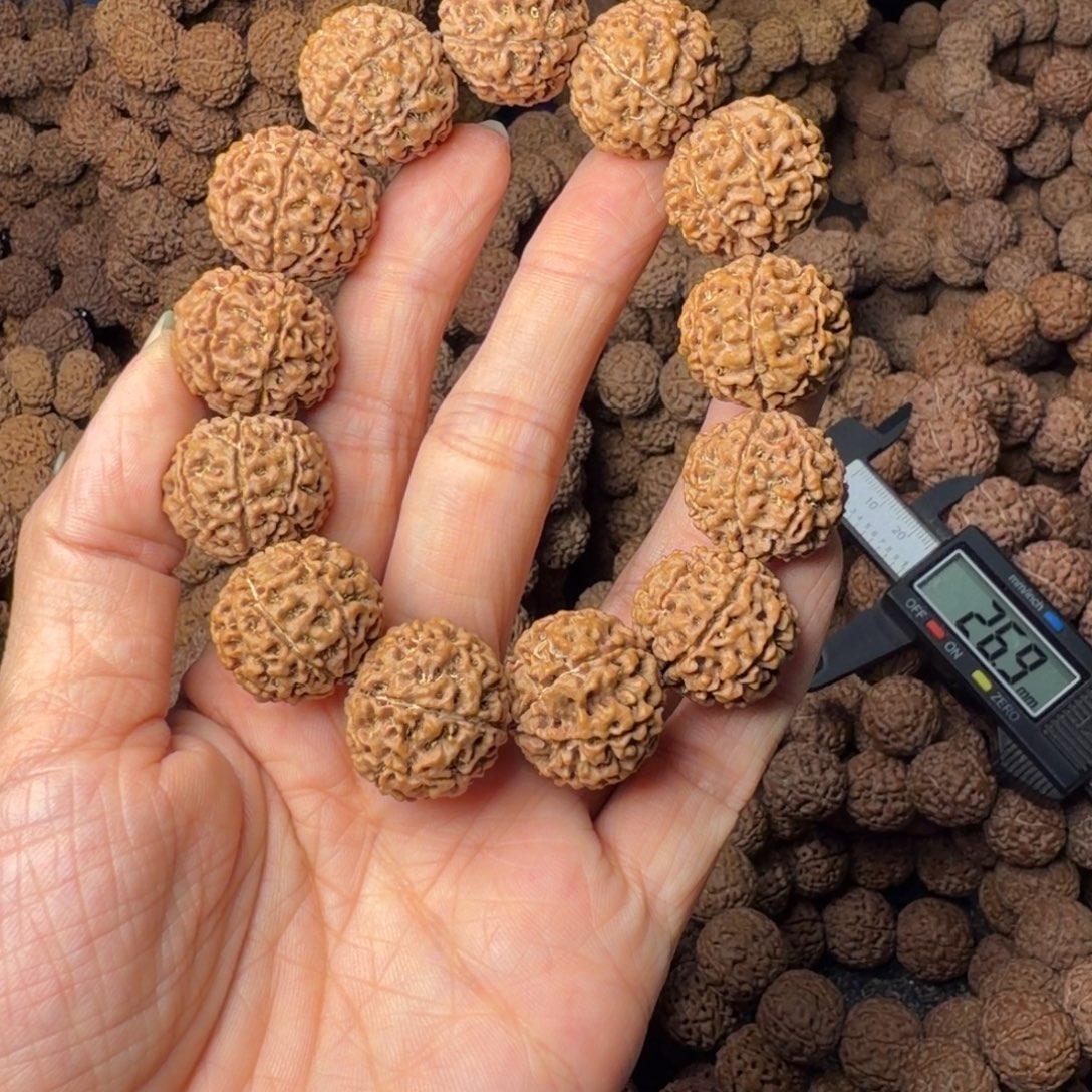 手串金刚菩提8瓣卡20尺，52号