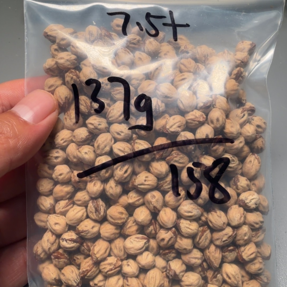 百***作柏香籽/百香籽吊坠