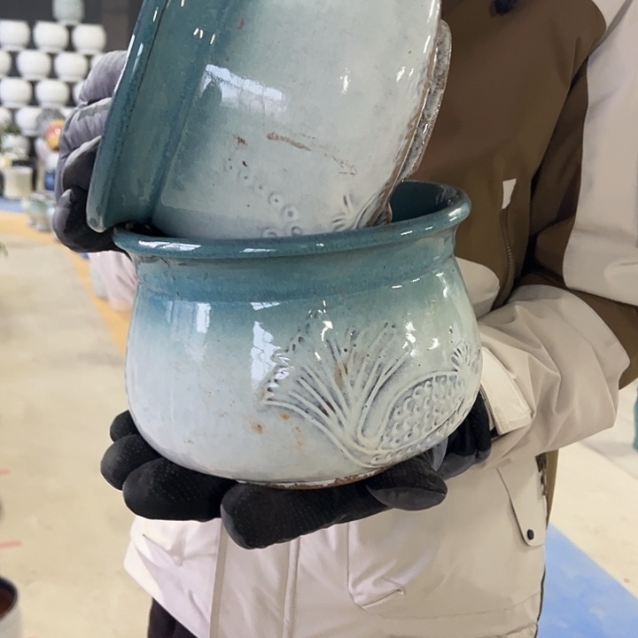 正品高度15厘米口径20