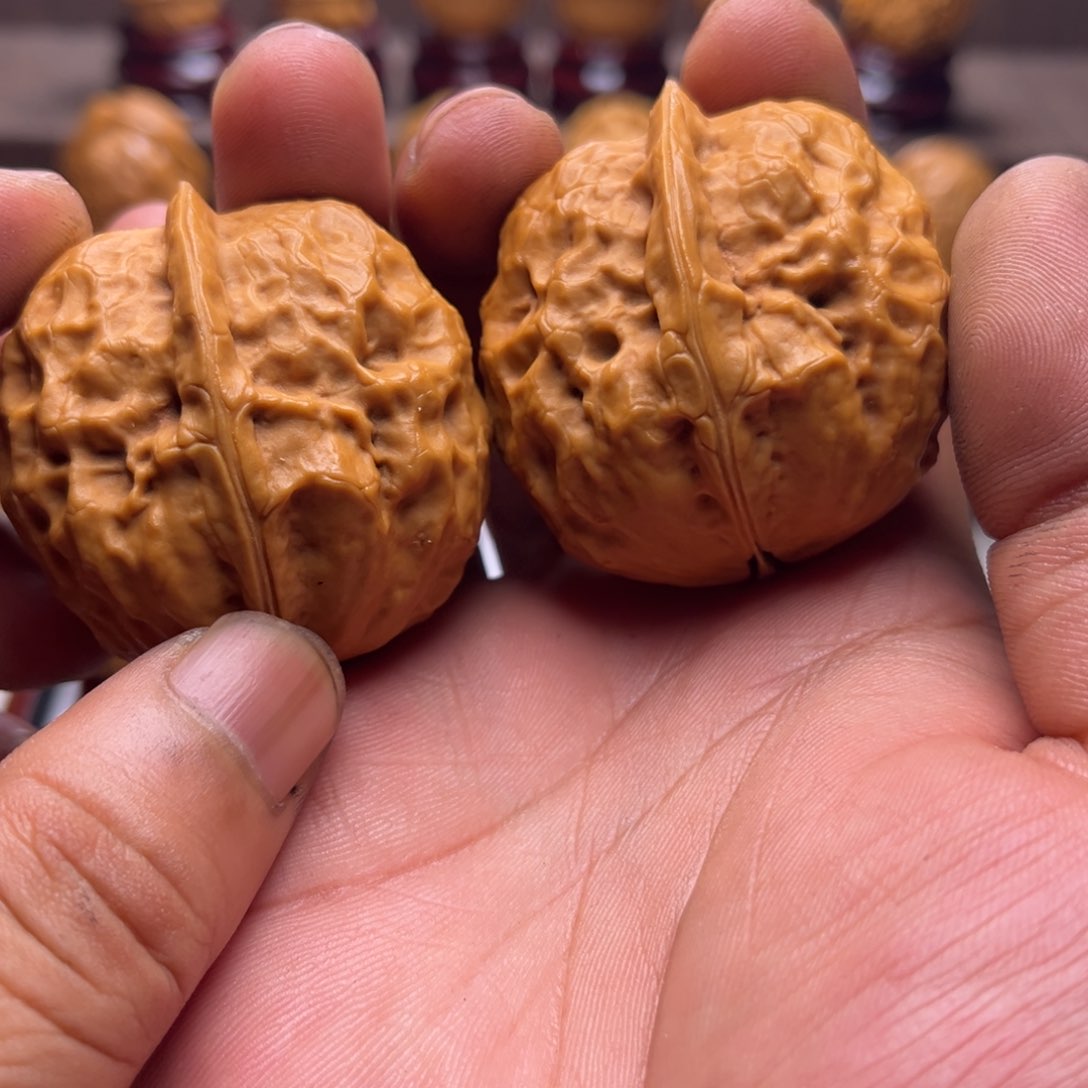 文玩核桃把件玄武金蟾16¥