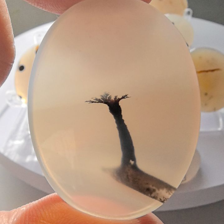 非金属时尚饰品22