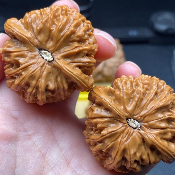 木质类金麒麟尺寸44