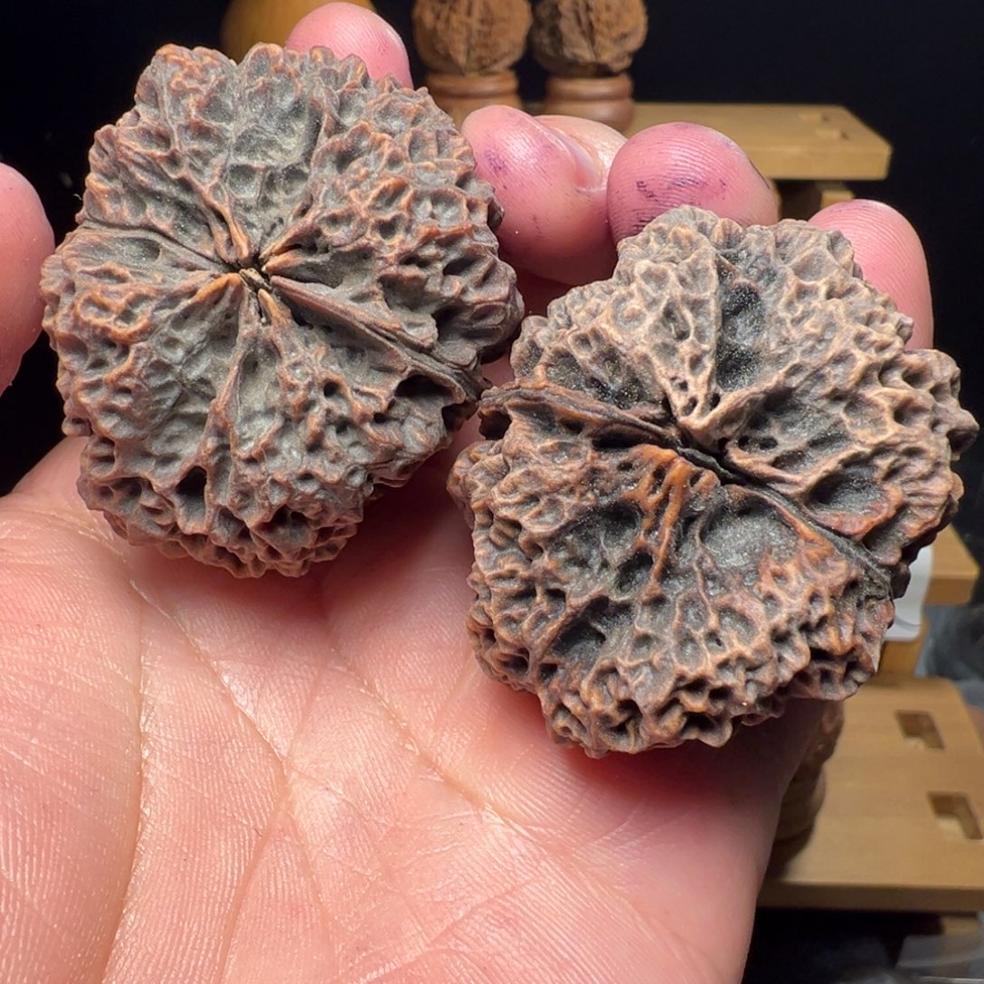 文玩核桃吊坠苍山神鹰47mm