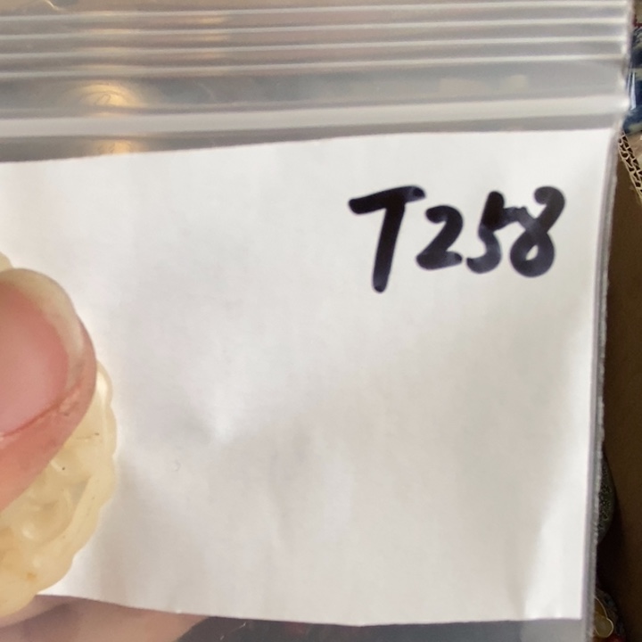 活**下一二七杂项直播间专属链接