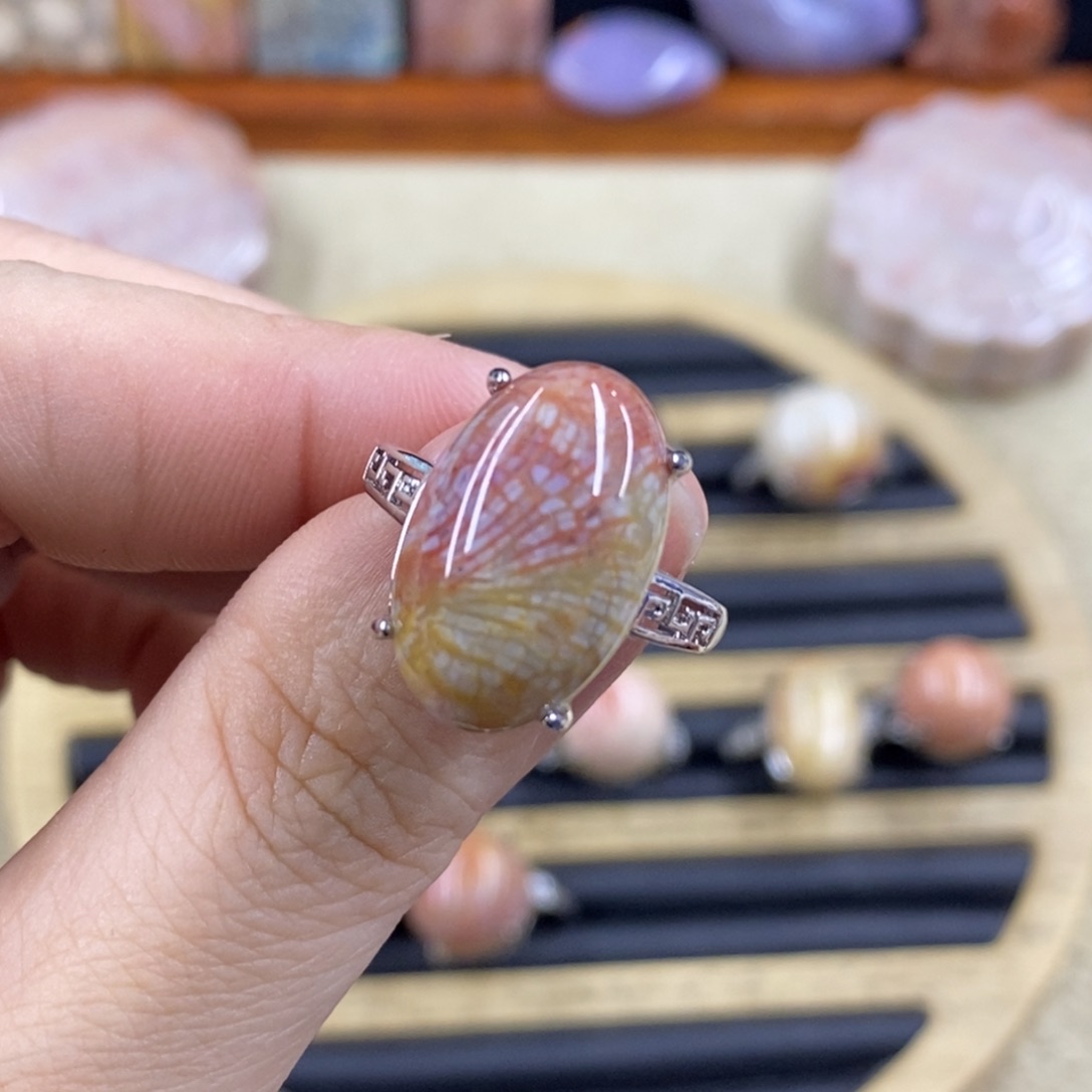 硅化珊瑚（珊瑚玉）A55未镶嵌