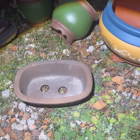 红陶冬*紫砂花盆盆景盆栽瑕疵