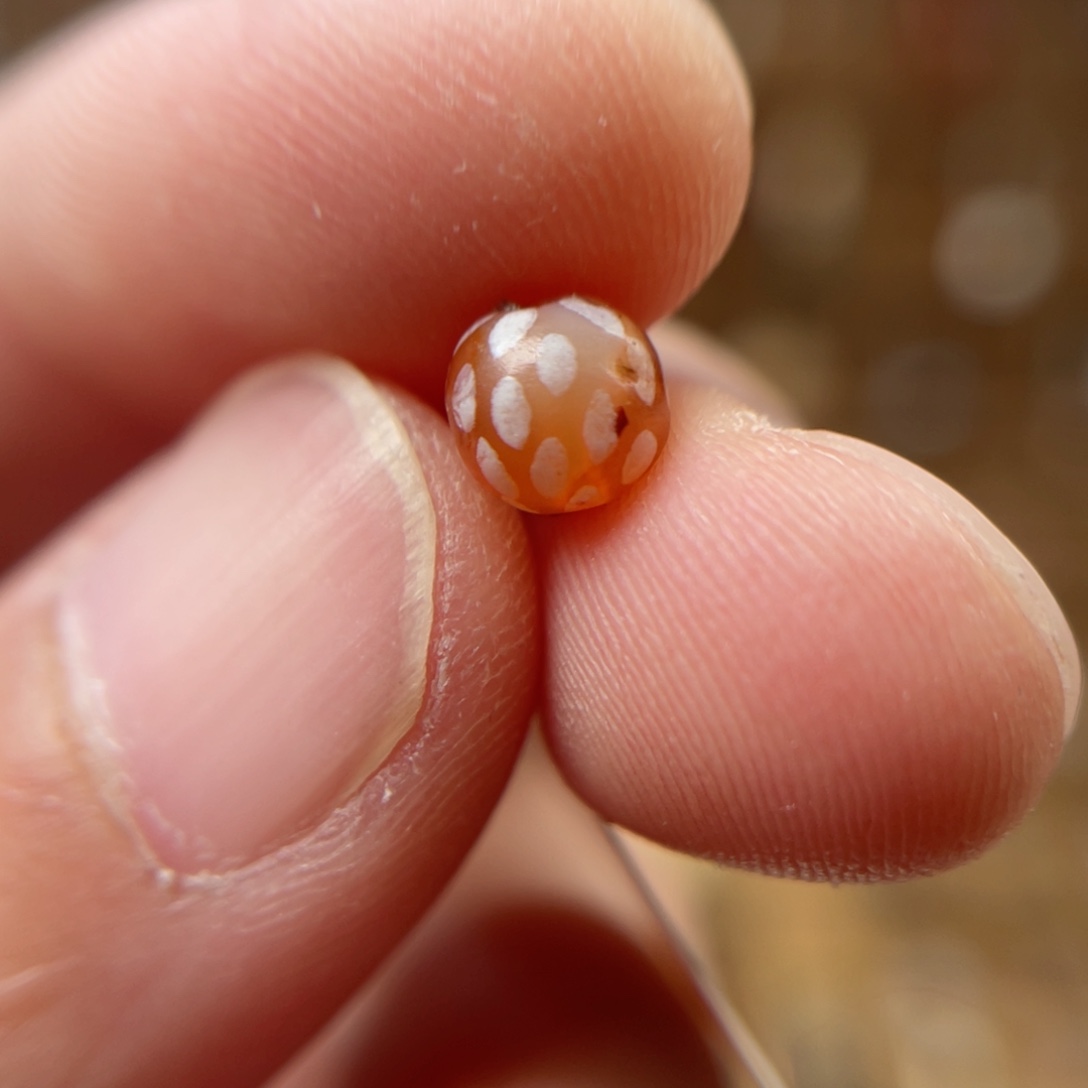 玛瑙/玉髓吊坠(不含链)未镶嵌