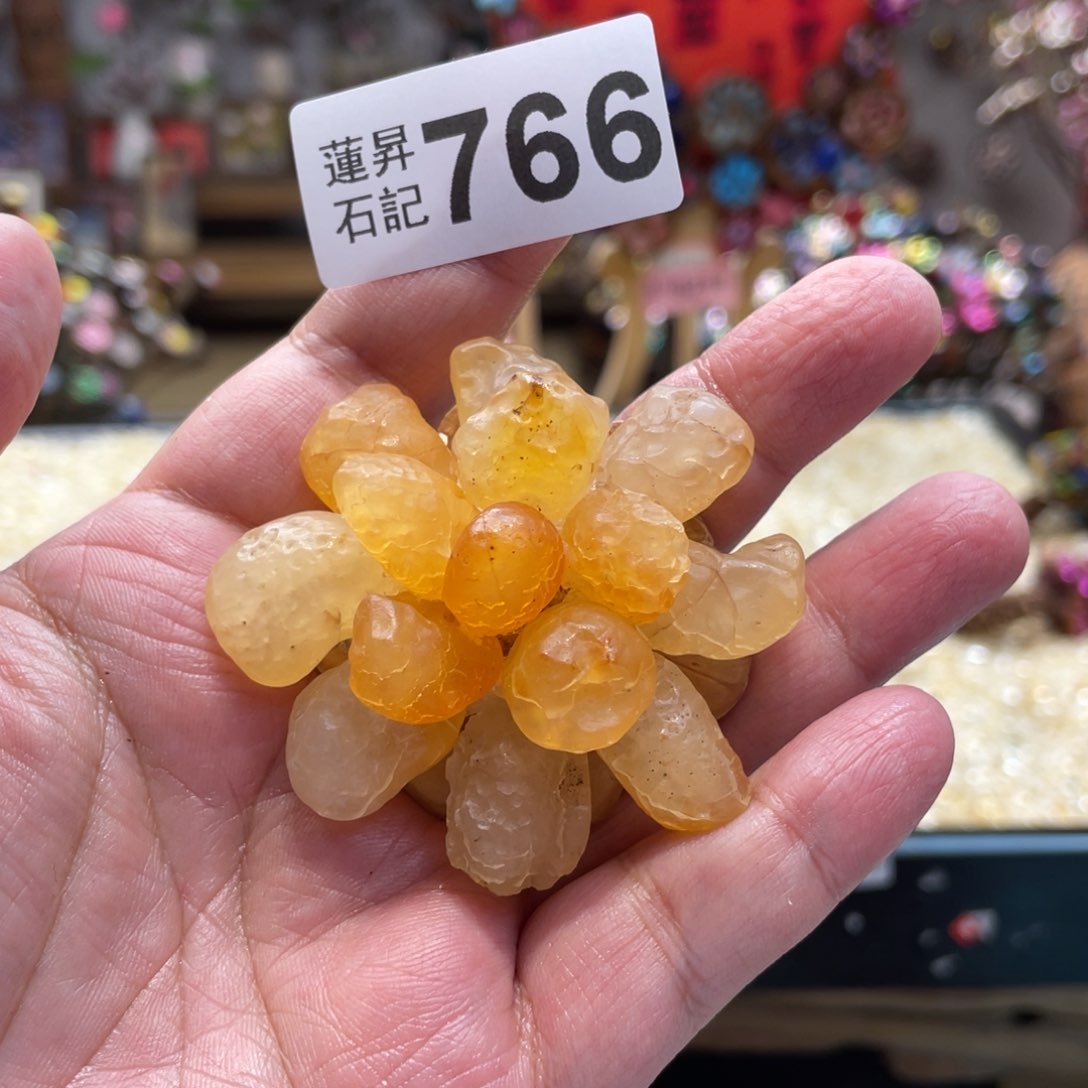 核桃木/黑胡桃（胡桃木）766