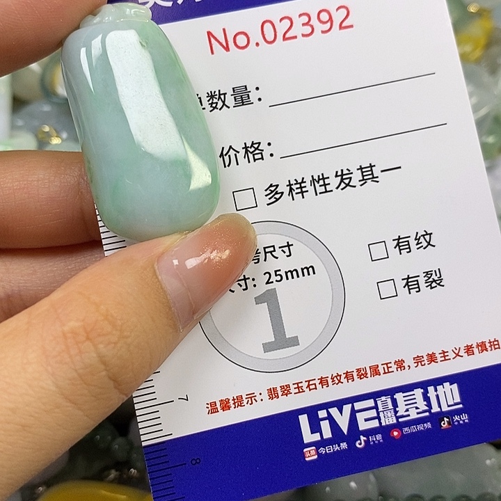 翡翠未镶嵌颈饰翡翠
