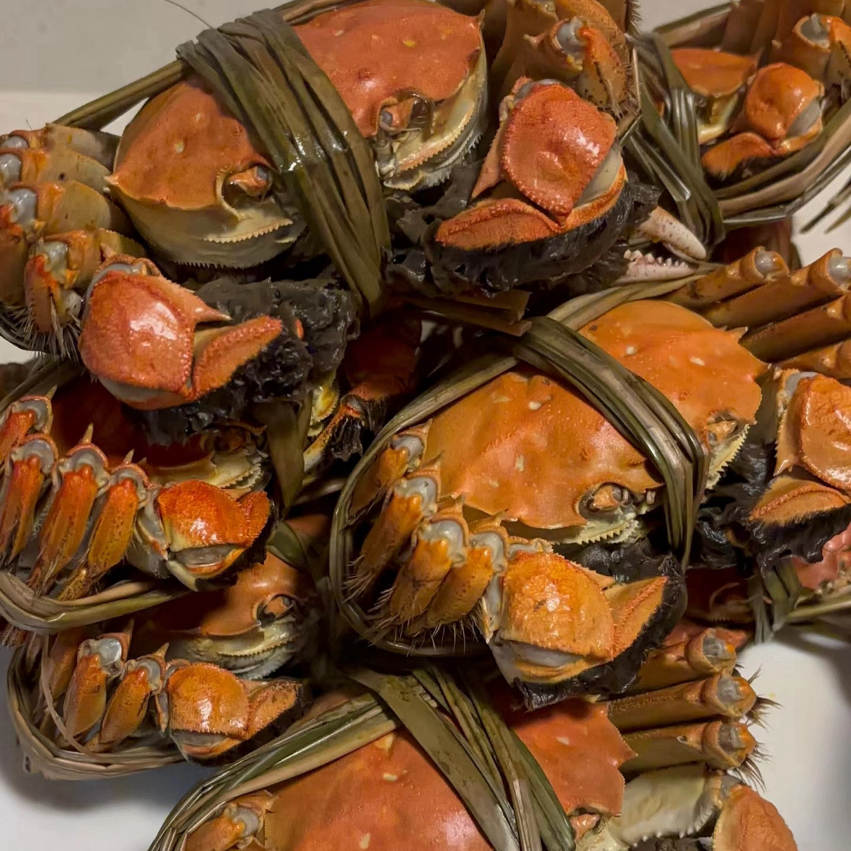 【活蟹】江苏大闸蟹-母蟹（2.8-3.1两）1只，昆明同城配，八母