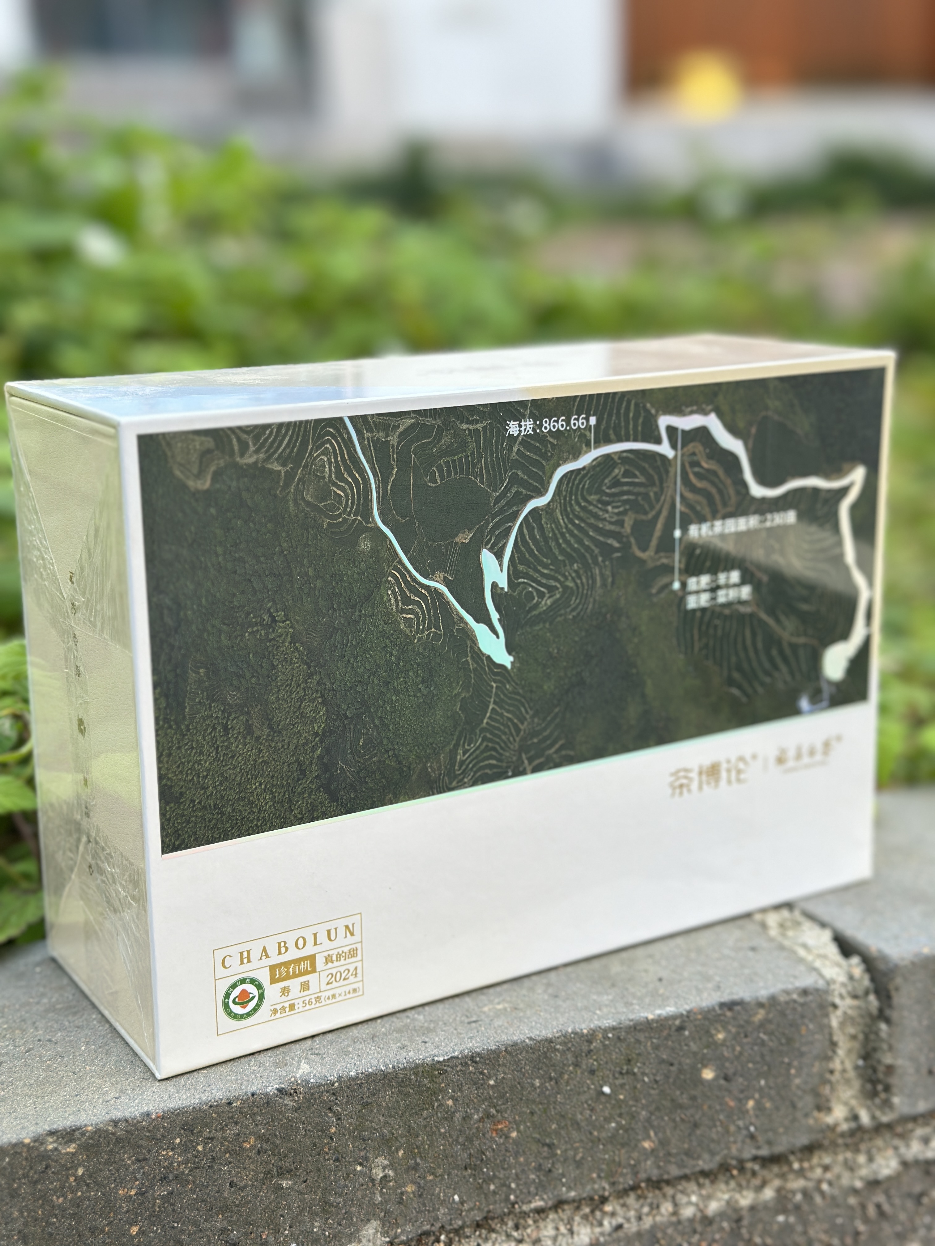 福鼎白茶管阳有机春寿眉花香