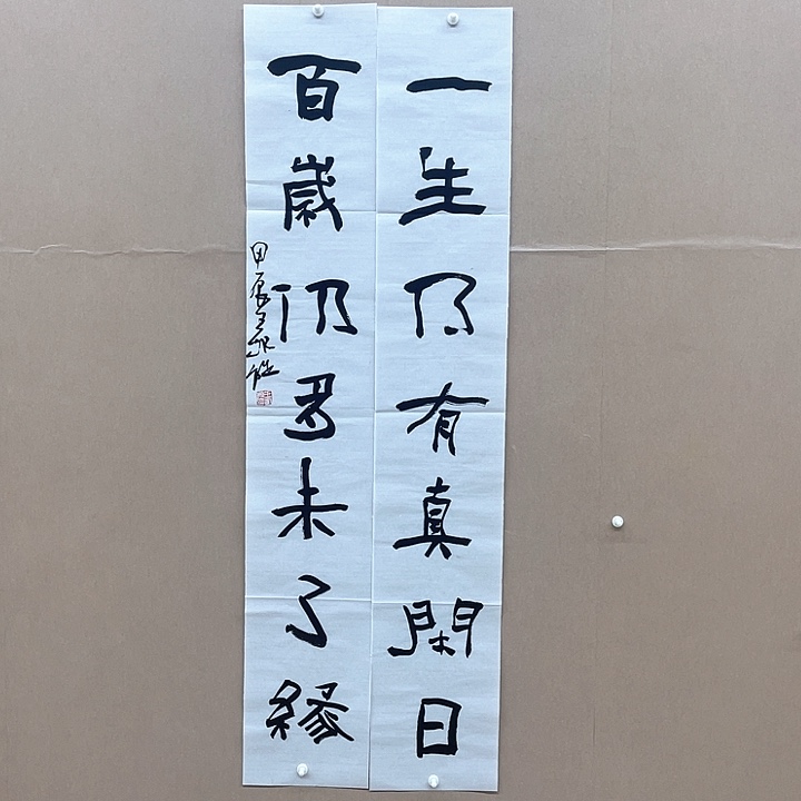 书法王凯旋138*23*2㎝河北 十三届届展