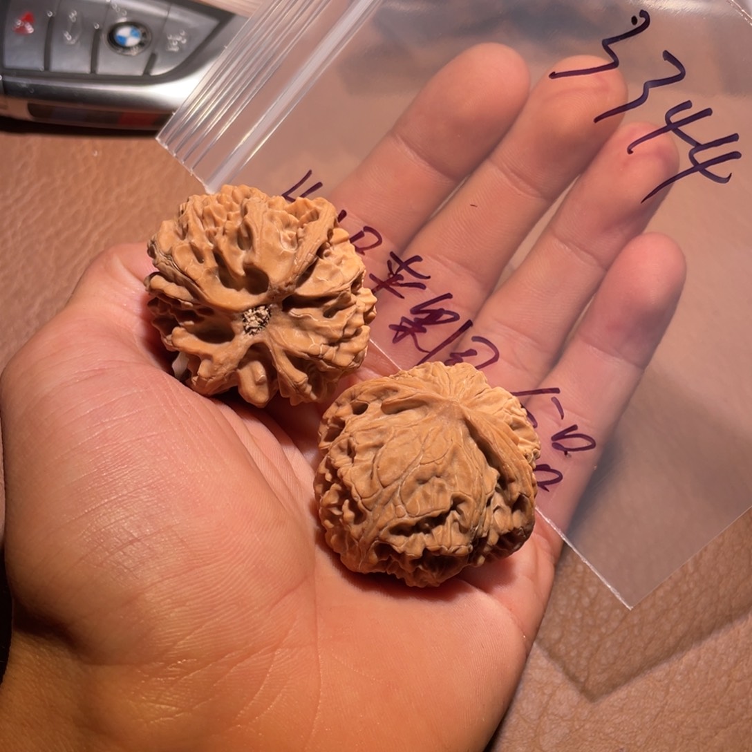 ****落核桃手串/手链3344