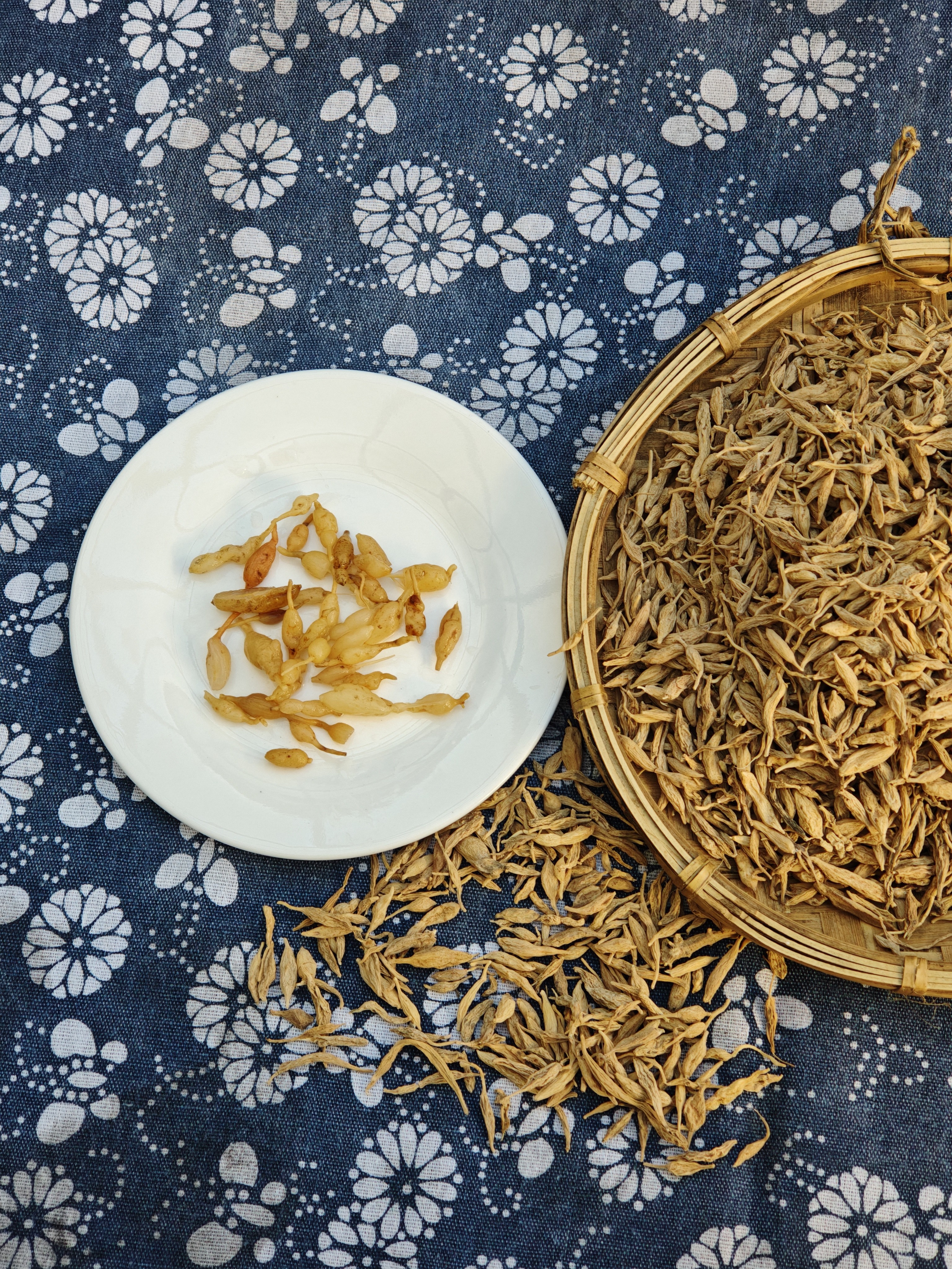 麦冬/云南大山里的麦冬