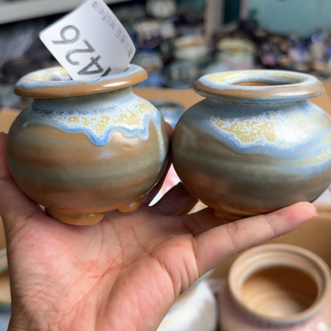 重庆小小燕子欢迎大家426