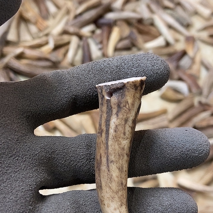 崔***。大叶紫檀（黑酸枝木类）