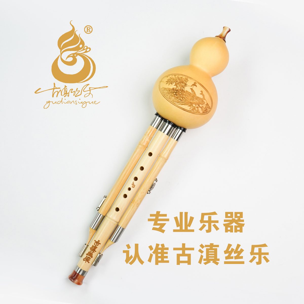 金丝楠竹葫芦丝多种调式适合成人学生初学者专业演奏民族乐器