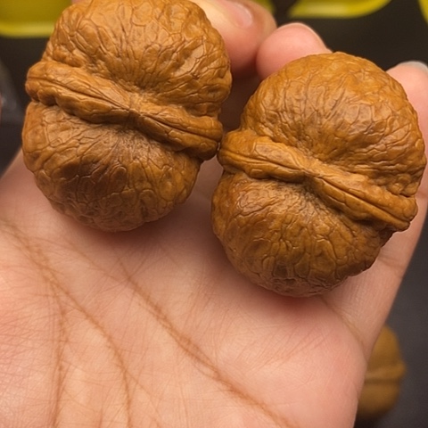 文玩核桃把件43尺元宝