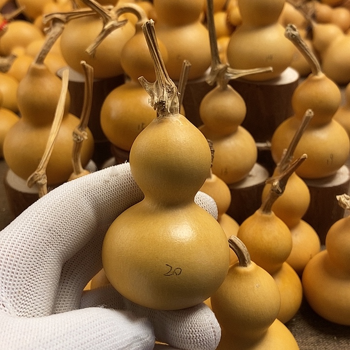 文玩葫芦 完美主义者 慎拍20