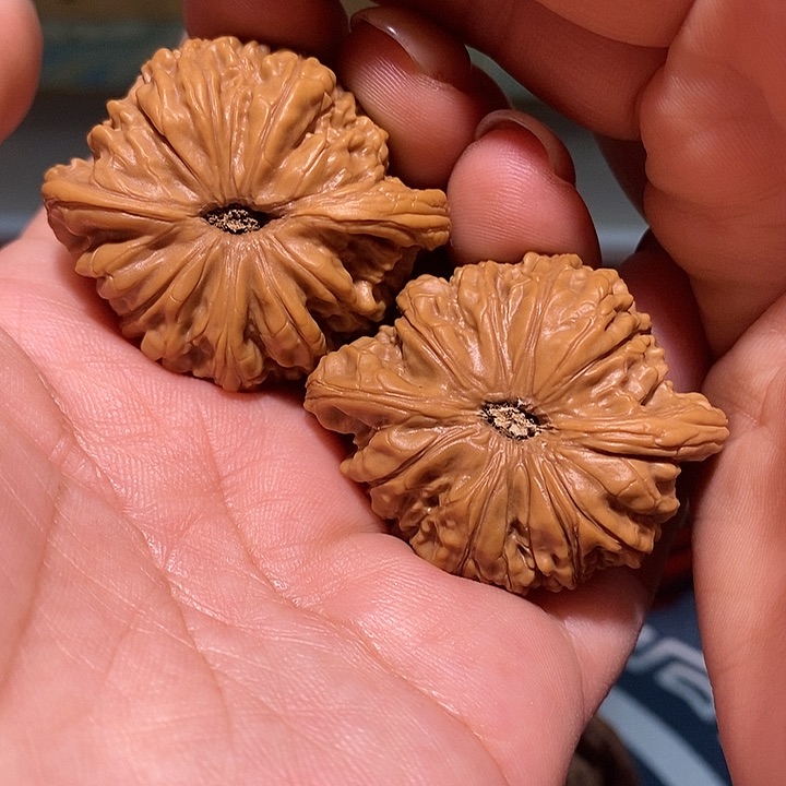 文玩核桃把件41金算盘