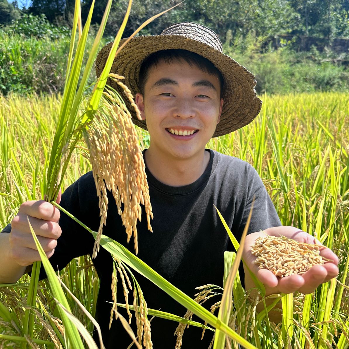 （2025新米）重庆石柱土家香米长粒米农村大米4.5KG