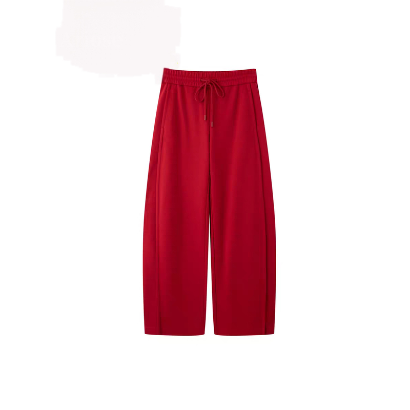 艾家同款2025冬上新高腰直筒垂感休闲裤卫裤女25314110