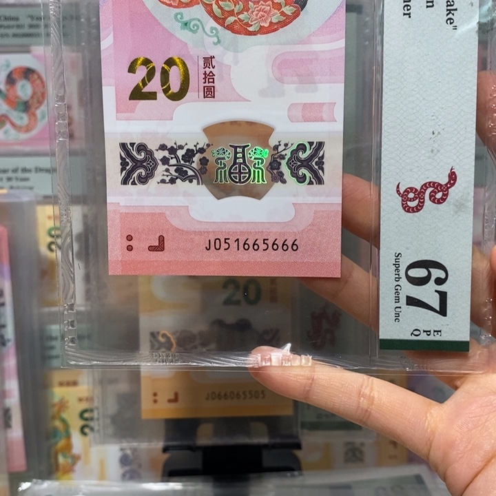 蛇钞蛇四豹子尾  