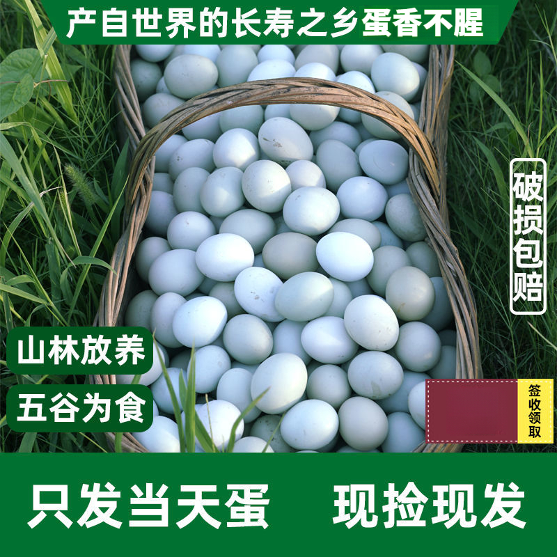 【助农】正宗农村绿壳土鸡蛋深山林散养虫草新鲜现发乌鸡蛋整箱天