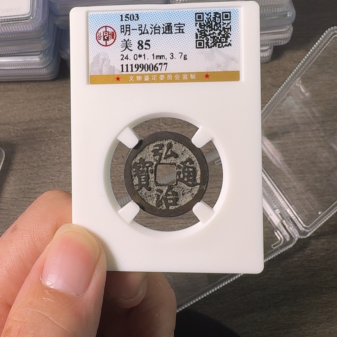 铜A闻博文化弘治通宝