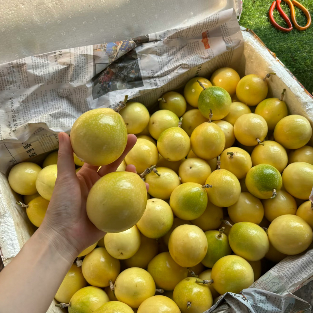 【青白江同城配送】百香果钦蜜九号3斤9.9元黄金百香果广西壮族自治区