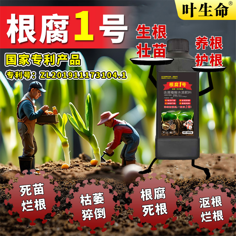 根腐烂根软腐农作物专用根腐抑制剂苗期死棵僵苗青枯立枯促生新根