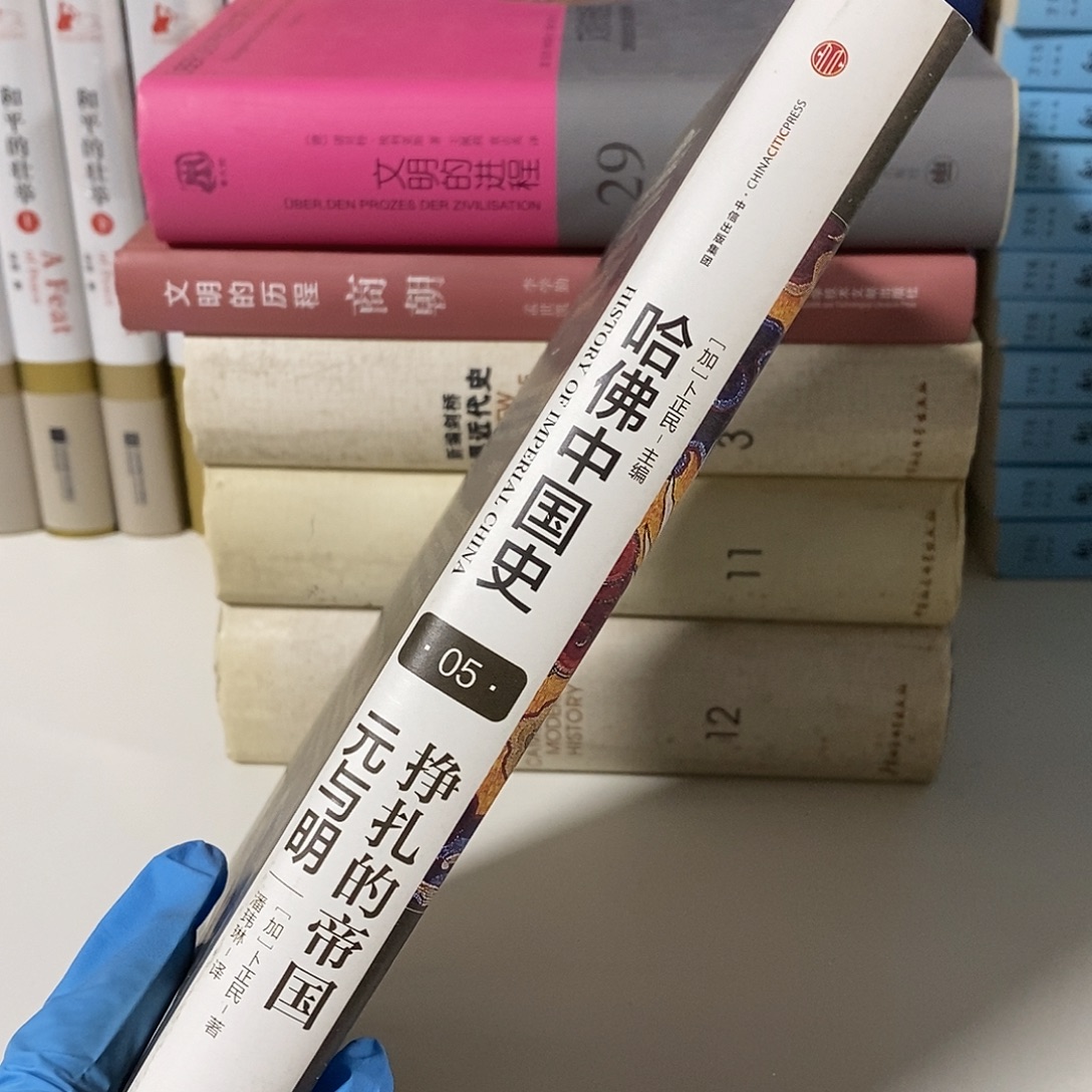 微瑕  挣扎的帝国元与明