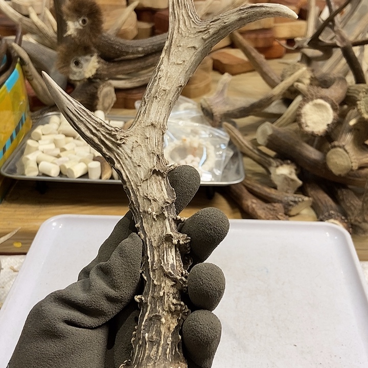 开***7大叶紫檀（黑酸枝木类）