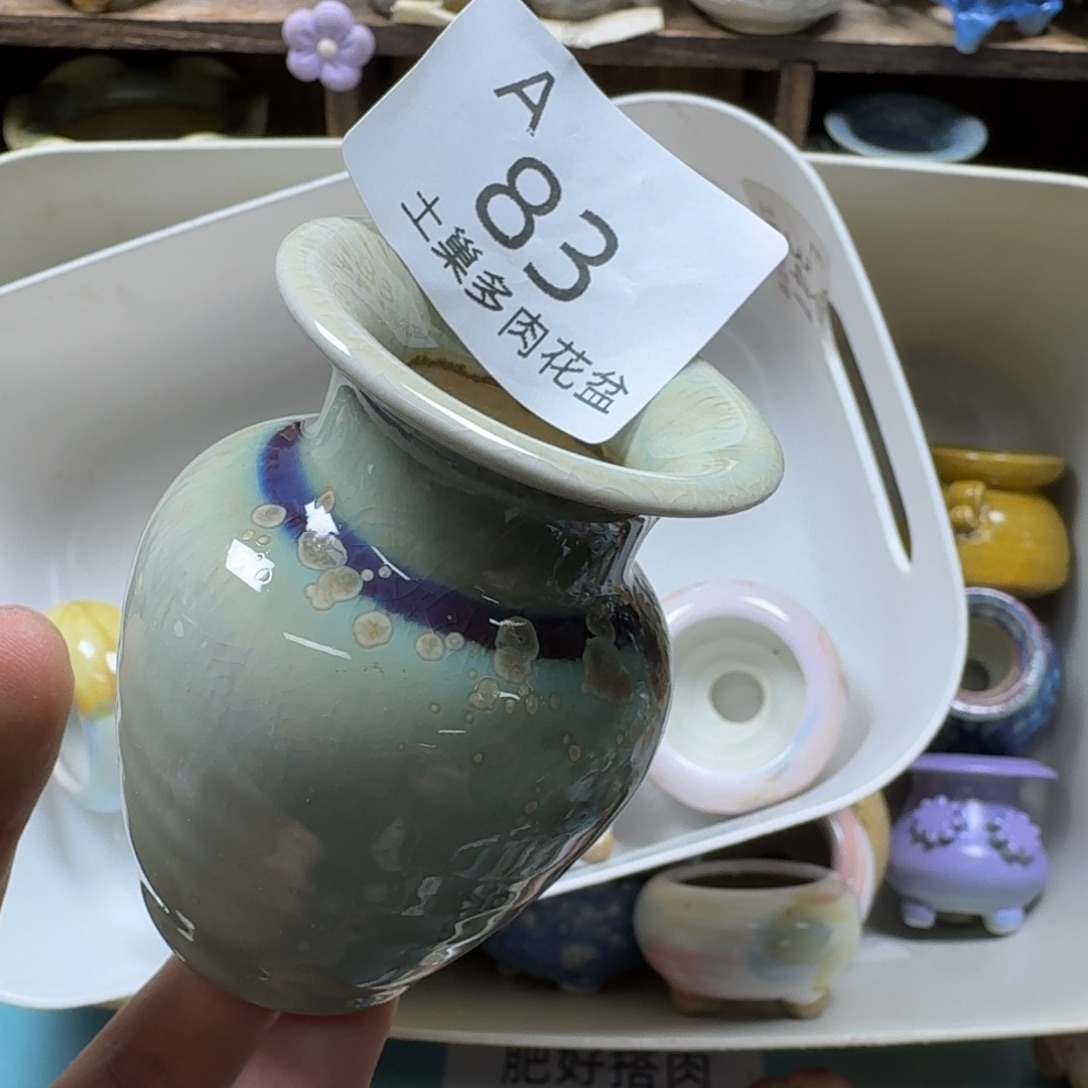 伊***半陶瓷艺术品设计与制作