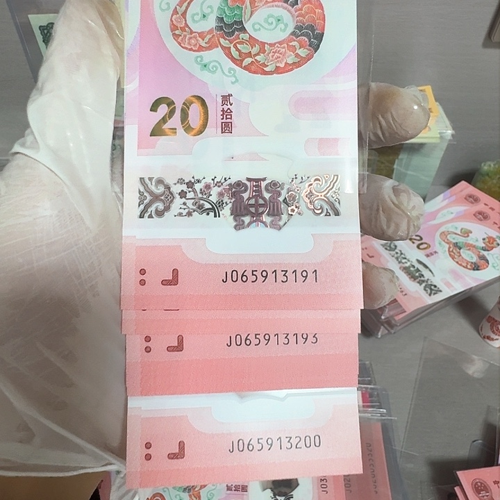 蛇钞纪念钞标十一组3191