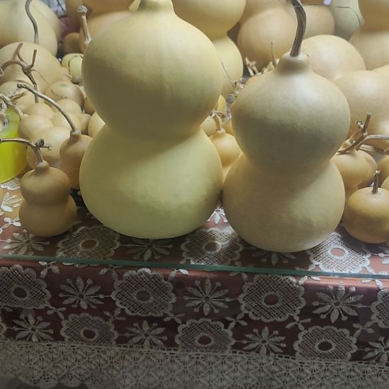 歆***里精品葫芦精品葫芦