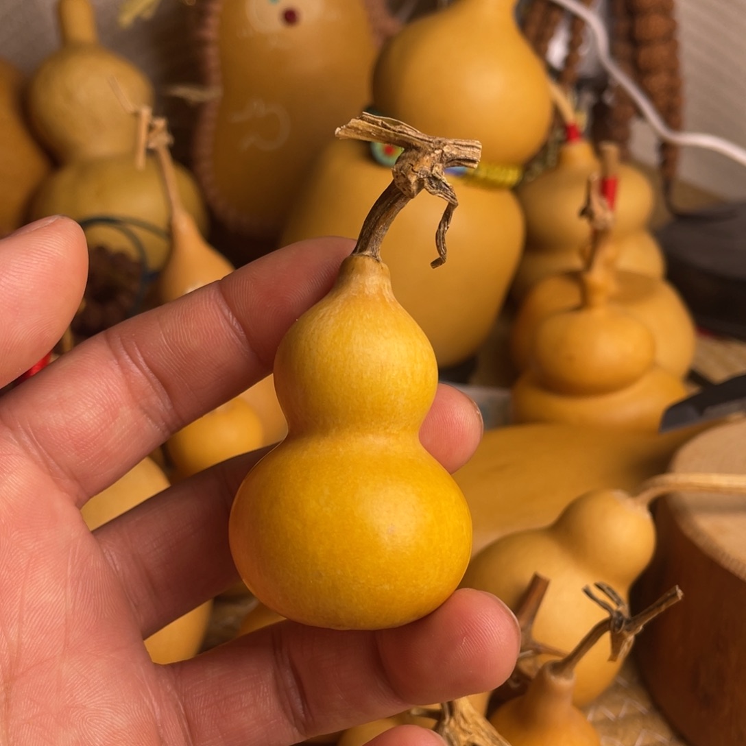 葫芦葫芦葫芦葫芦