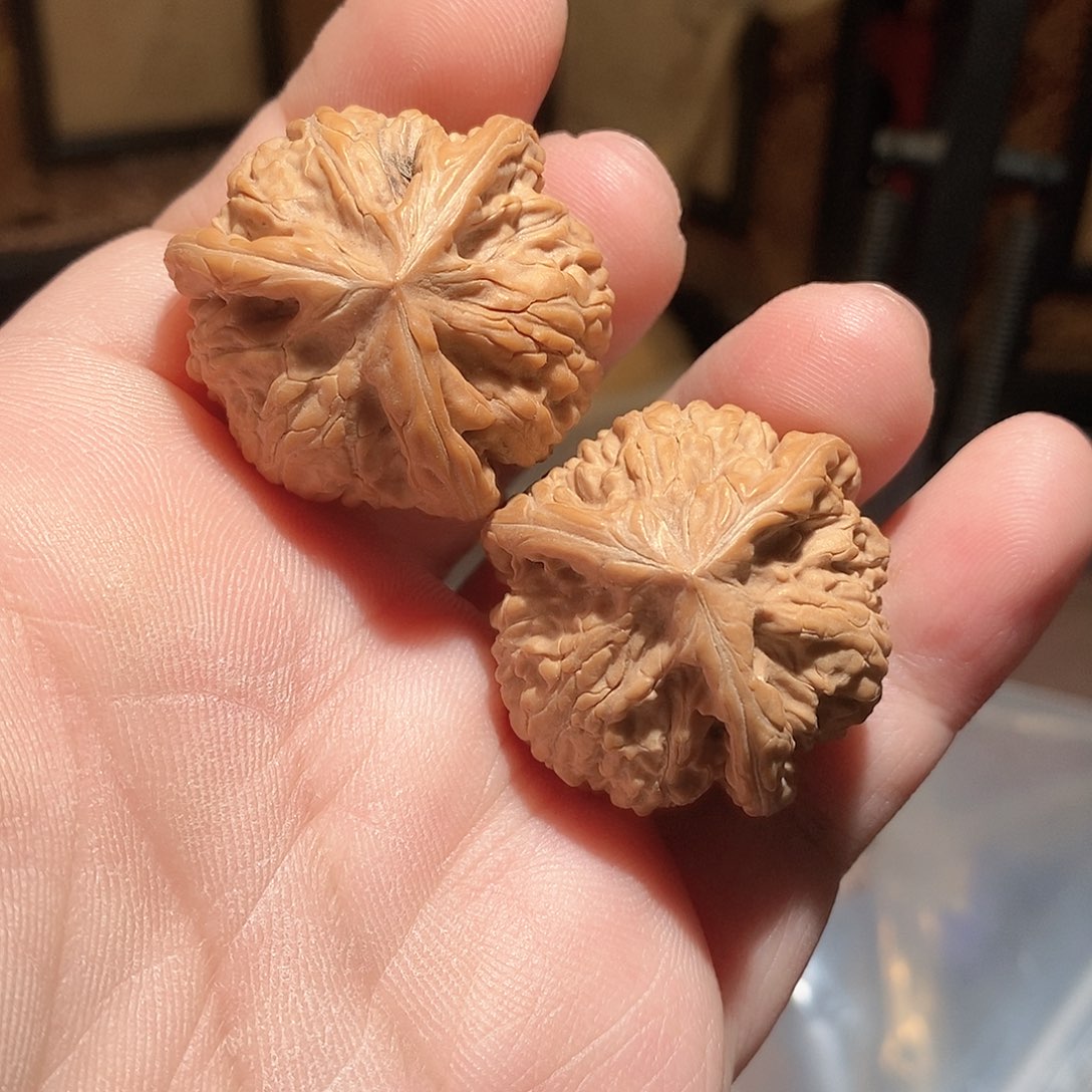 文玩核桃把件W**｀35左右文山三棱全品