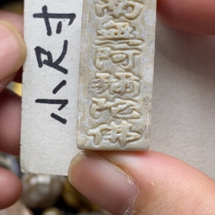 硅化珊瑚（珊瑚玉）未镶嵌颈饰
