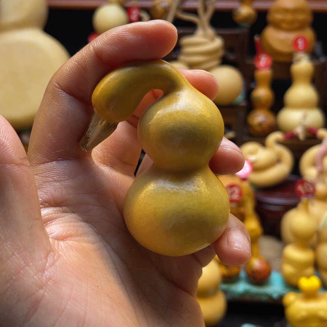 双*～葫芦笙等多种乐器演奏的技巧与技巧