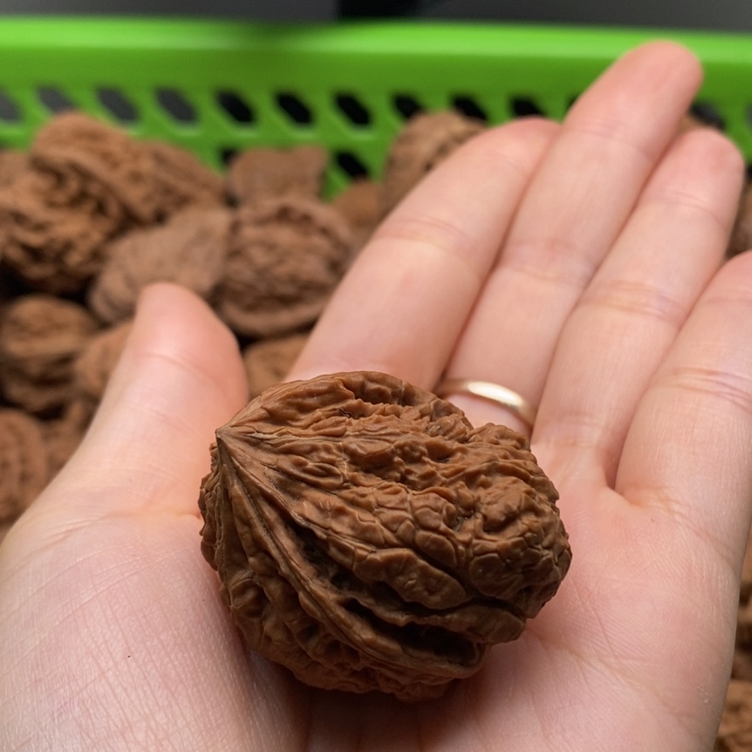 J***F把件文玩核桃定制商品不退不换