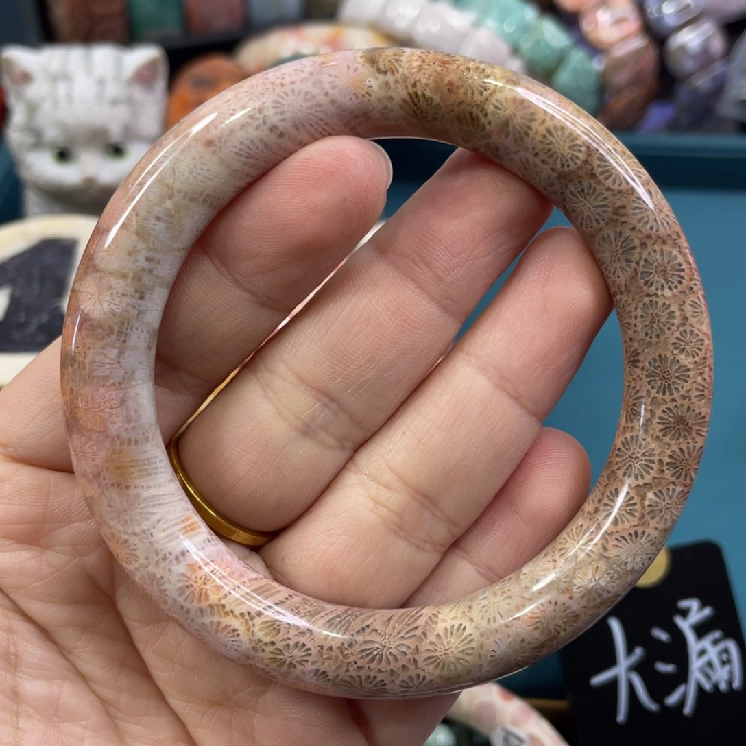 未镶嵌手镯硅化玉