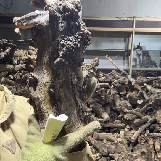 香榧木二**说火琉璃的毛料摆件